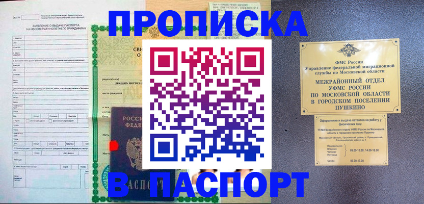 временная регистрация госуслуги в Чегеме
